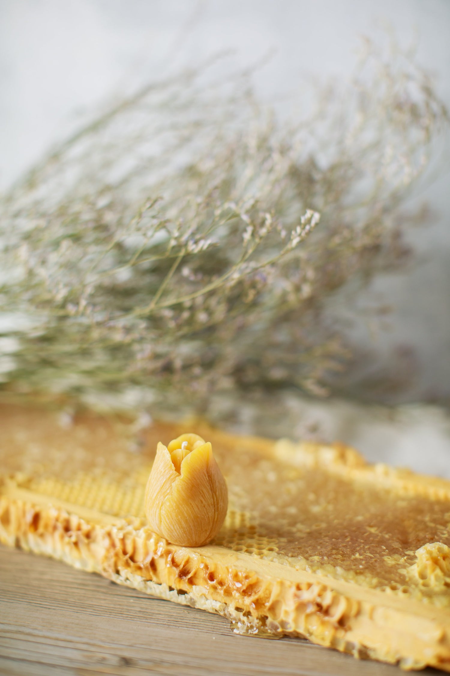 Pure Beeswax Tulip Candles (Case of 6)