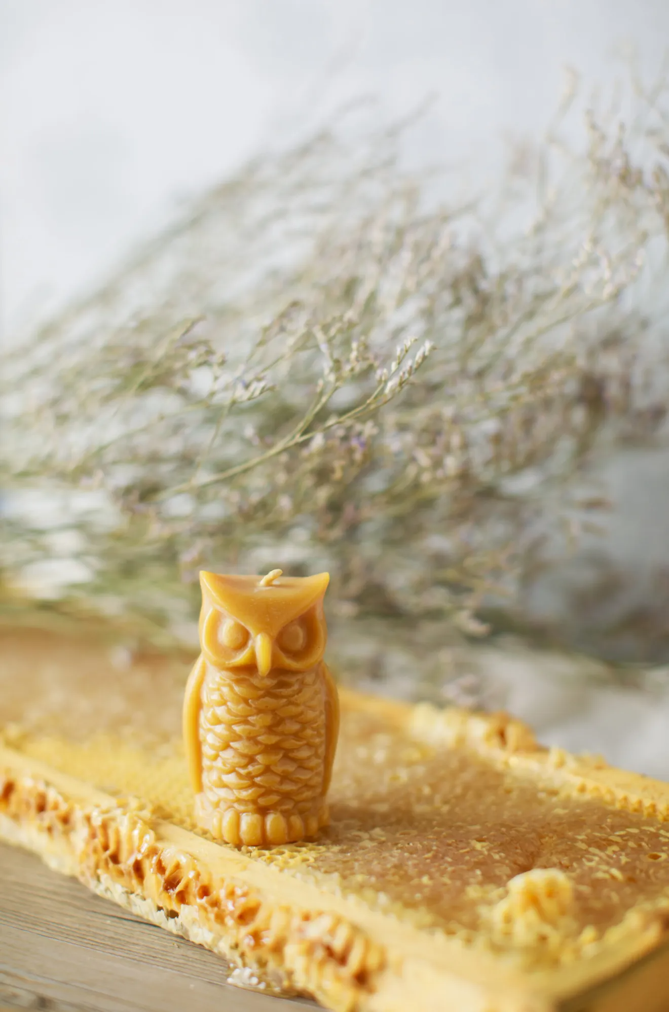 Pure Beeswax Owl Candles