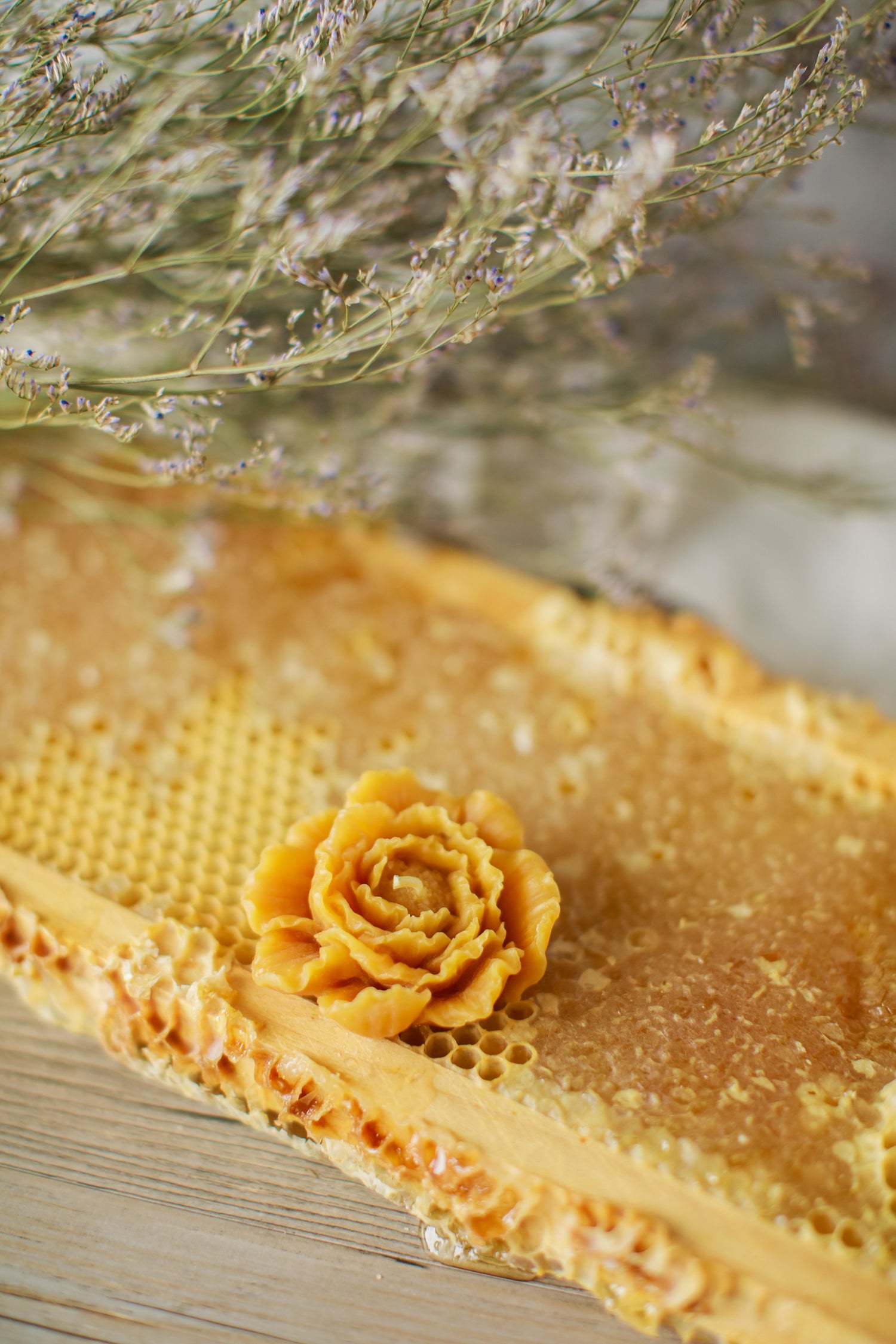 Pure Beeswax Petalled Rose (Case of 6)