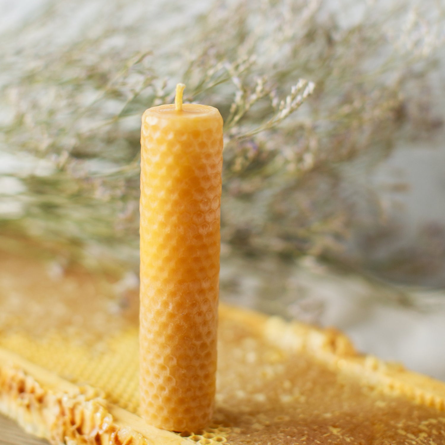 Pure Beeswax Hand Dipped Rolled Candles