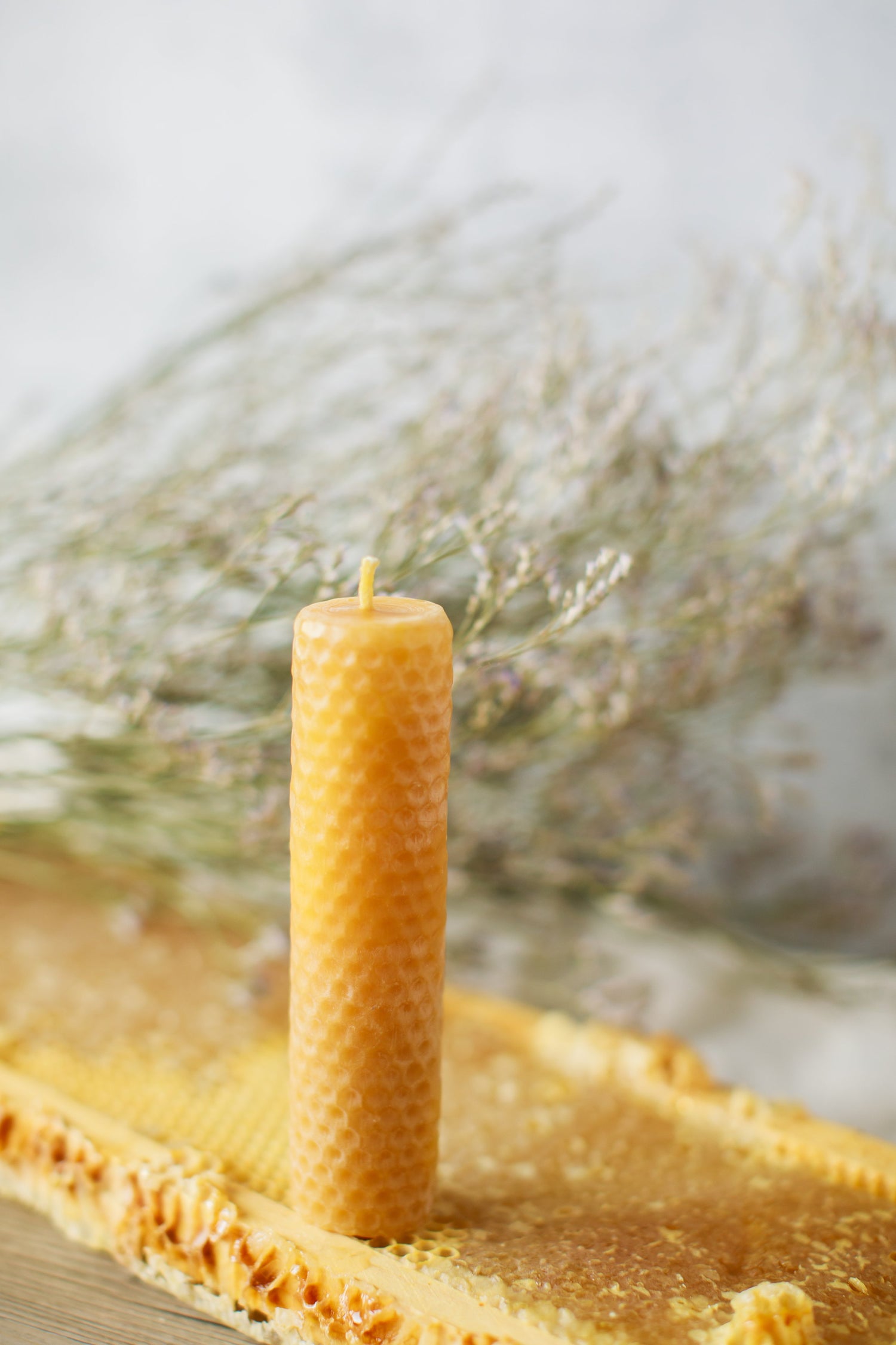 Pure Beeswax Dipped Rolled Candles (Case of 6) $5.40 MSRP $9.00