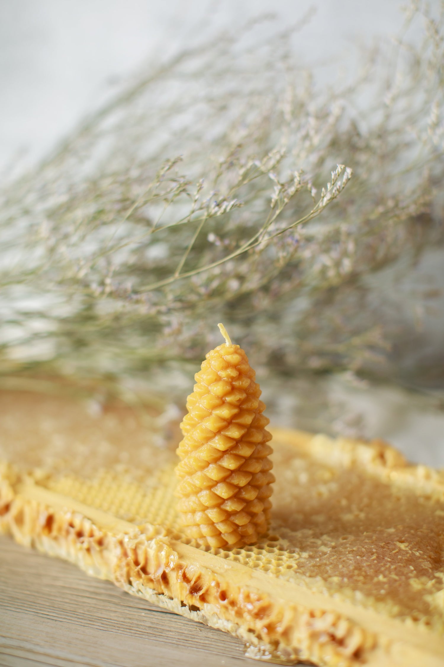 Pure Beeswax Spruce Cone Candles