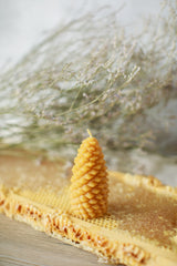 Pure Beeswax Spruce Cone Candles