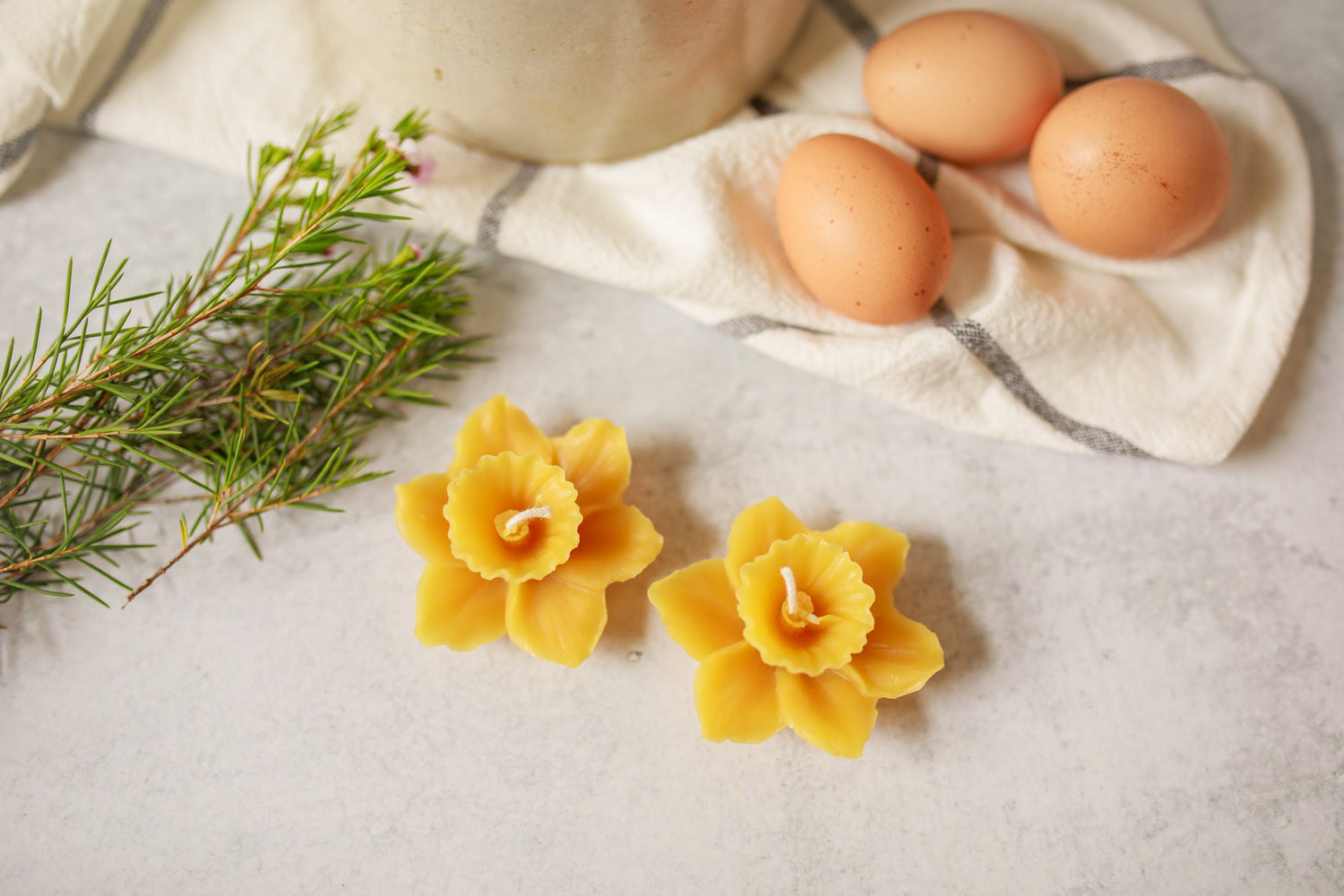 Pure Beeswax Daffodil Floating Candles