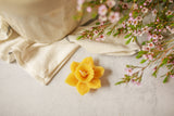 Pure Beeswax Daffodil Floating Candles