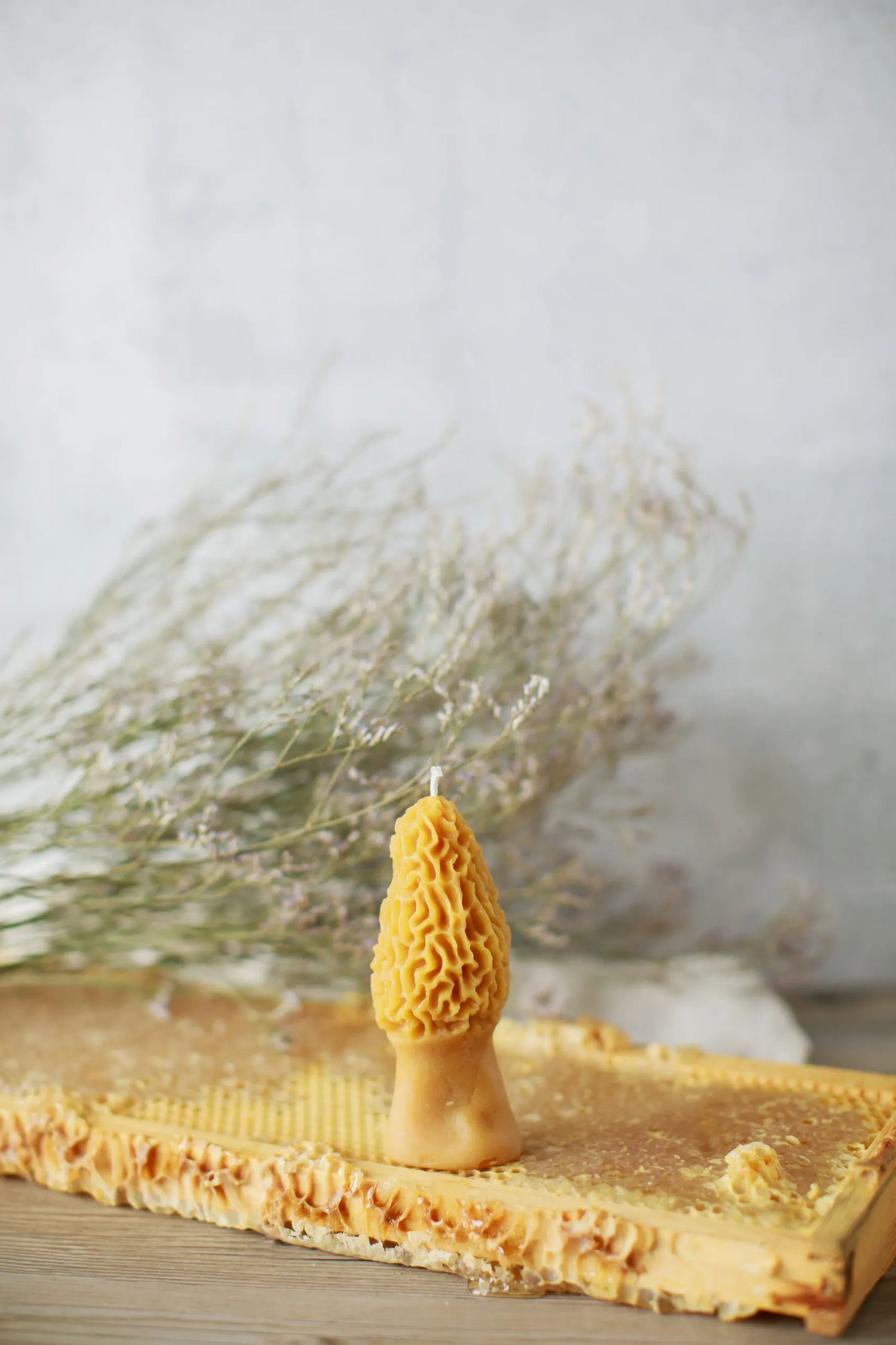 Pure Beeswax Morel Mushroom Candles