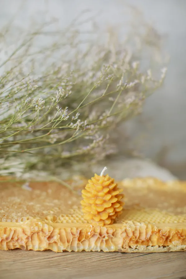 Small Pinecone Pure Beeswax Candles